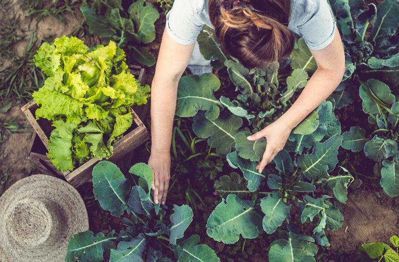 Women farmers are more sustainable, say MEPs at Copa-Cogeca Innovation Awards