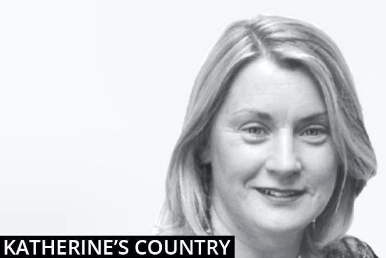 Katherine’s Country: the sweet relief of the vaccine