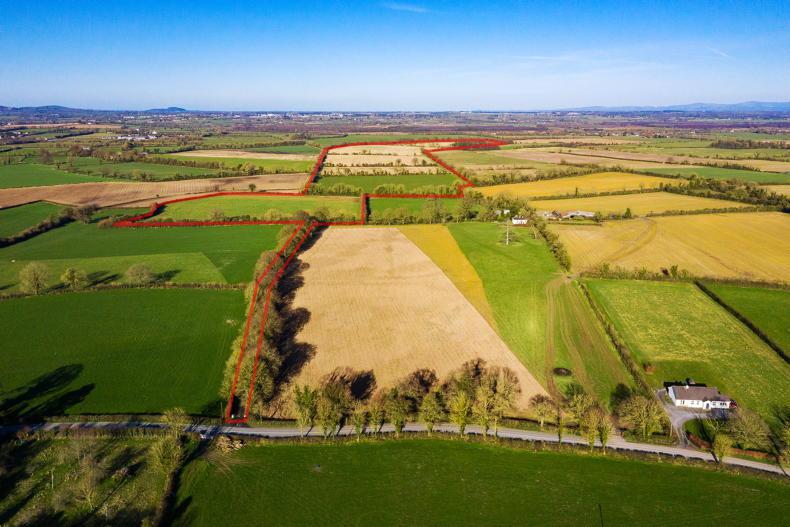 Farm of good land for sale in Kildare - Vimarsana News