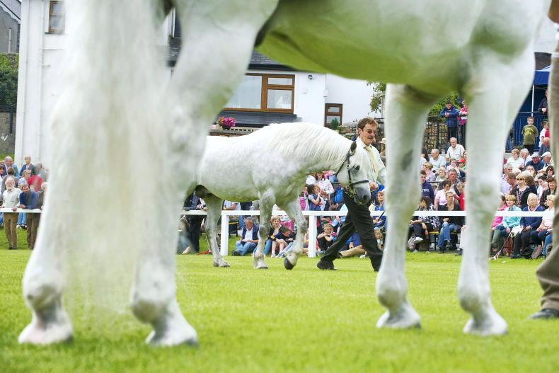 CBPS postpones Clifden Show to new September date