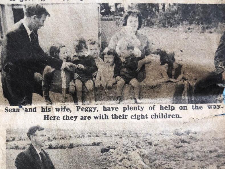 A Week in the Country                       