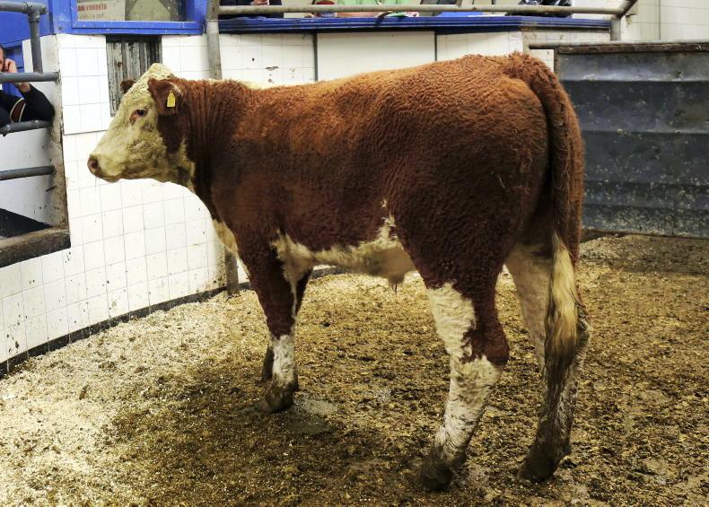 Athenry Mart licence suspended by Department