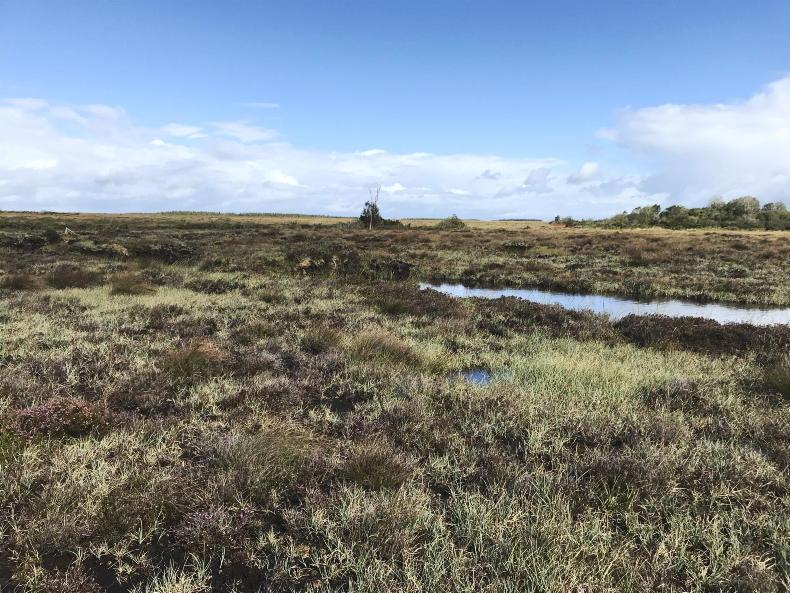 Calls for compensation fund for farmers beside rewetted bogs - Vimarsana News