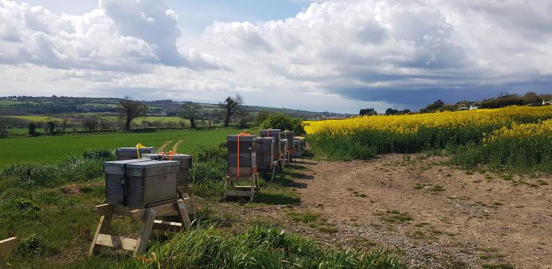 Arable April: sustainability to the fore for photo competition entries - Vimarsana News