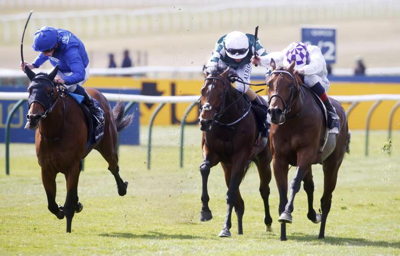 Irish Horse: Masters combine for Poetic triumph in 2000 Guineas