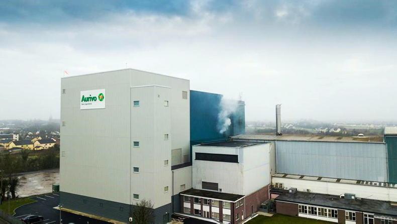 Aurivo doubles turnover on dairy ingredients in five years