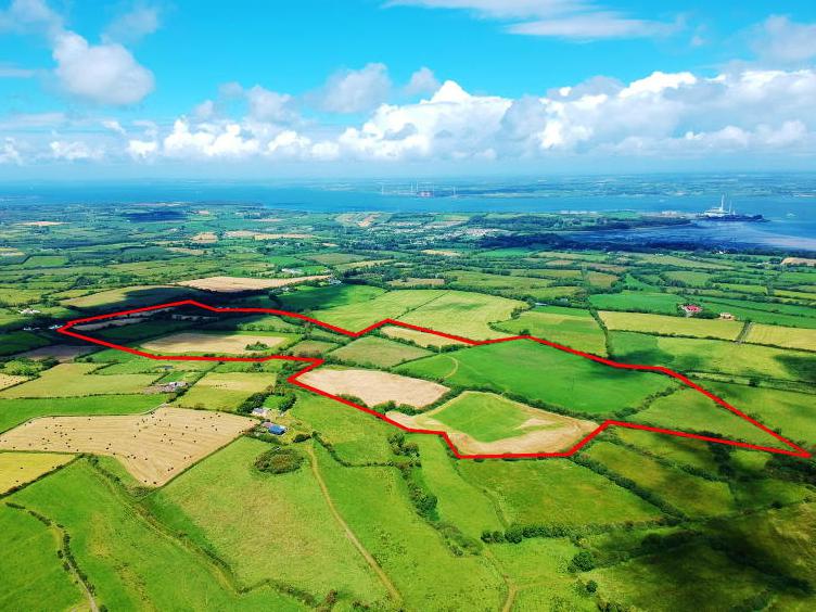 Sherry Fitzgerald offices are being kept busy Free