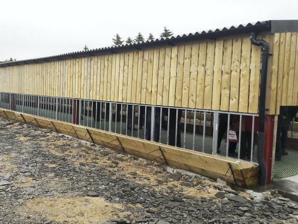Housing 900 ewes in the north of Scotland - Vimarsana News