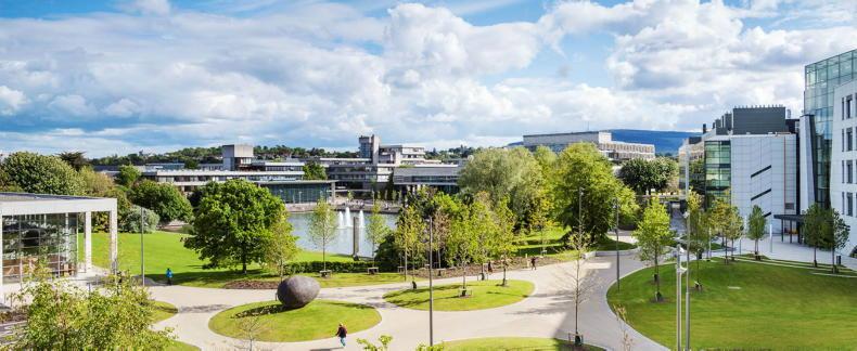 What’s on offer at UCD for prospective students?
