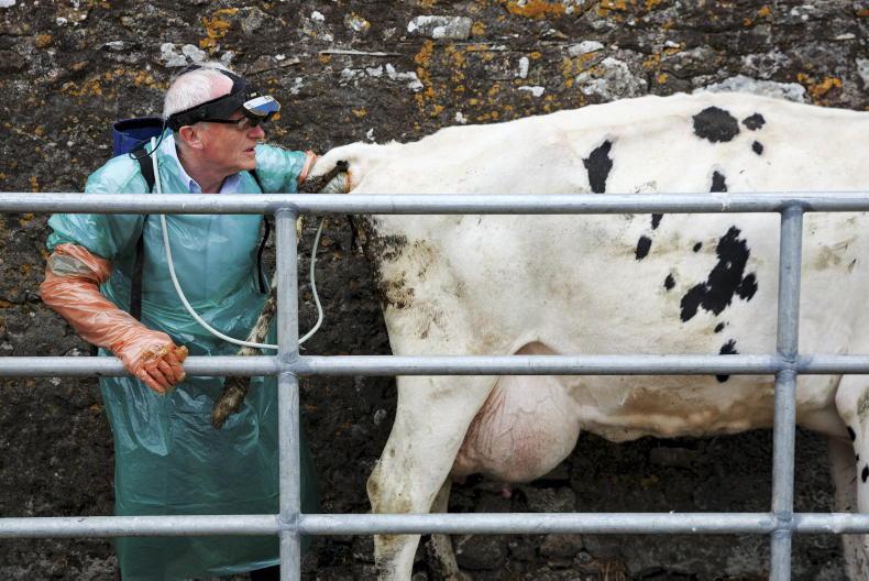 Dairy management: pica, grass growth and drainage