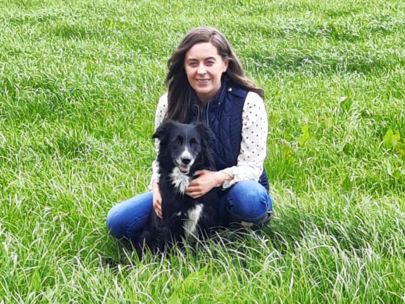 My Country Living: school isn't the be-all and end-all 19 May 2021 Free - Vimarsana News