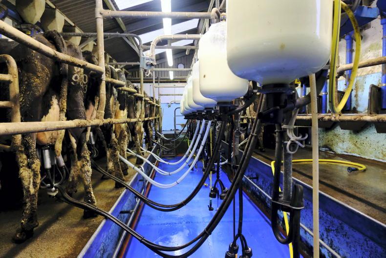 Farmer Writes: When I grow up, I want to be a farmer