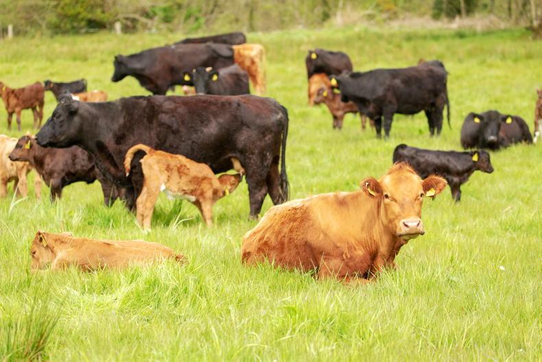 'Farming uniquely placed as carbon source and sink' – Taoiseach 19 May 2021 Free - Vimarsana News