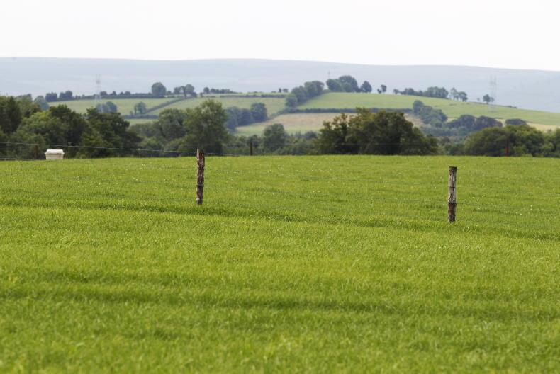 Potential for Signpost Farms to safeguard agriculture's green image 19 May 2021 Free - Vimarsana News