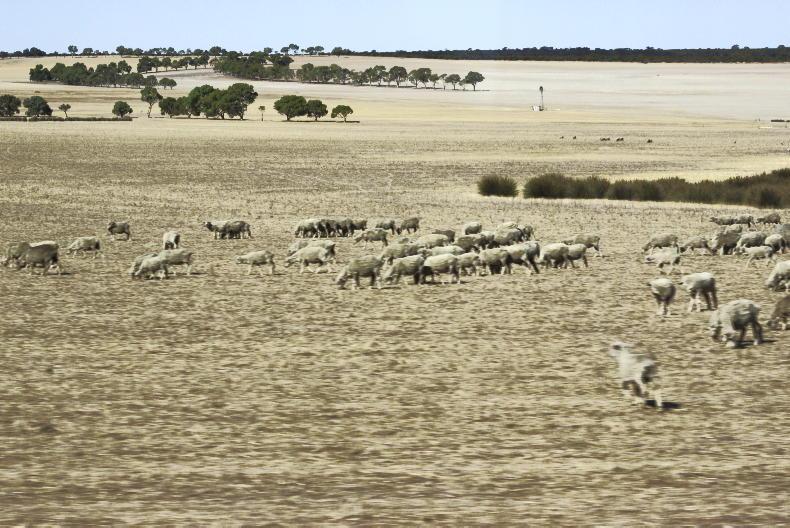 Trade deal trumps agriculture in UK - Vimarsana News