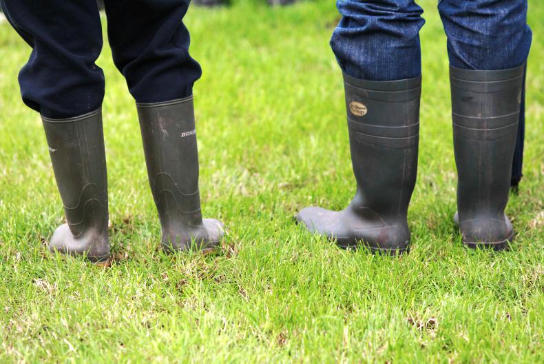 Farm biodiversity survey ‘critical’ to gauge future scheme success