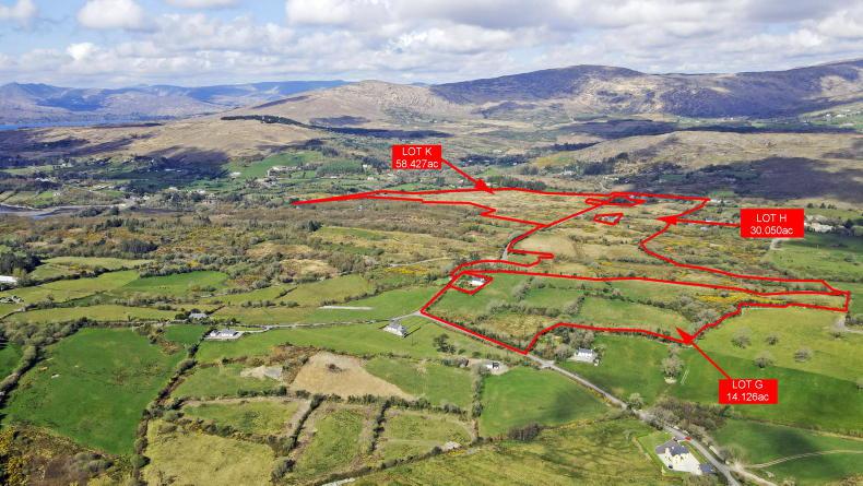 Huge interest in 103-acre Bantry farm - Vimarsana News