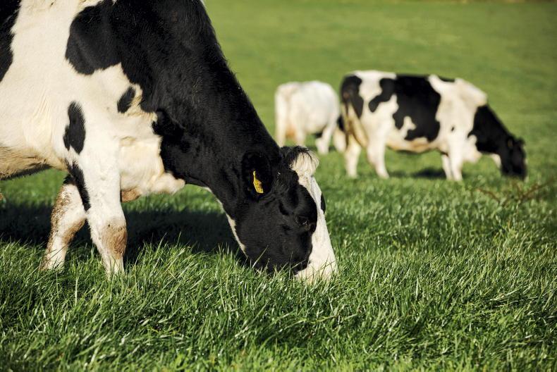 Carbery and Teagasc renew west Cork monitor farm programme - Vimarsana News