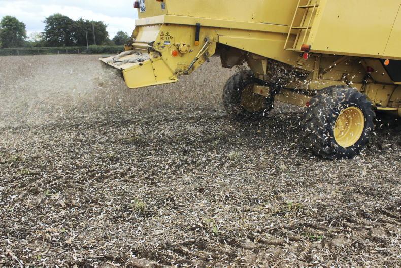 Webinar: chopping straw and growing carbon on Irish tillage farms - Vimarsana News