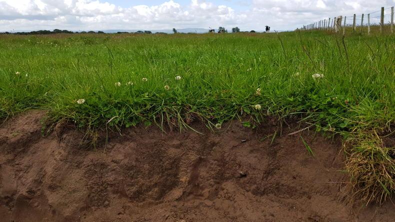 EU carbon hits €53.78/t in market this month