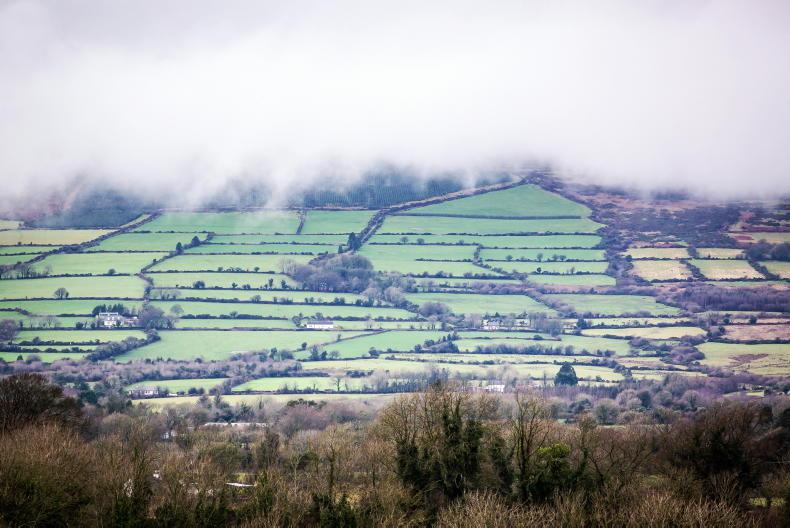 Money Mentor: Long-term leasing of land requires good advice   