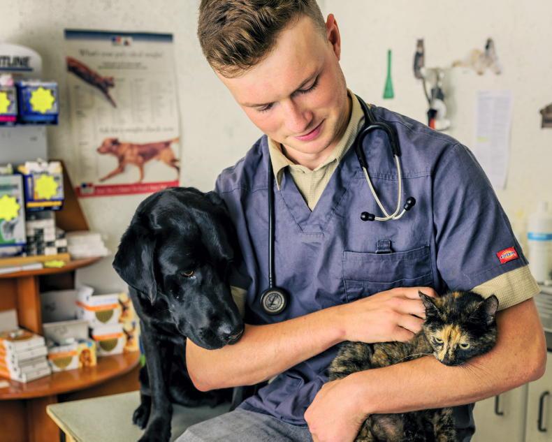 Agri Careers: Studying veterinary abroad, plenty opportunities are available