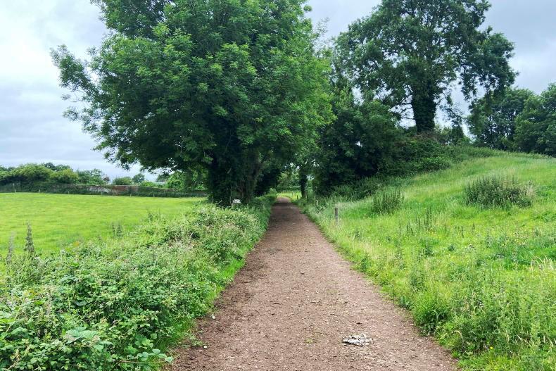 Food Vision 2030 sets targets for next decade, but is light on farm incomes