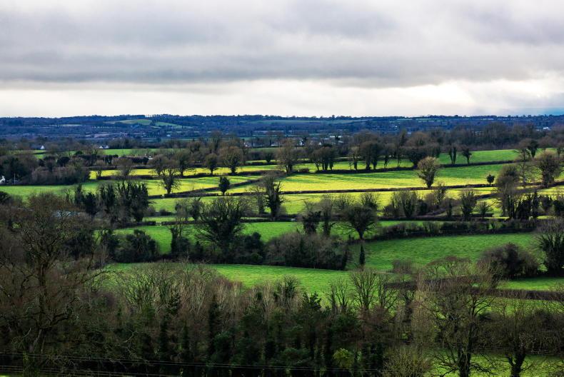 Next CAP: 50,000 participants expected in new agri-environment scheme