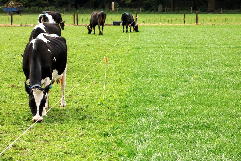 The Grass Week: slow growth delays the start of building covers - Vimarsana News