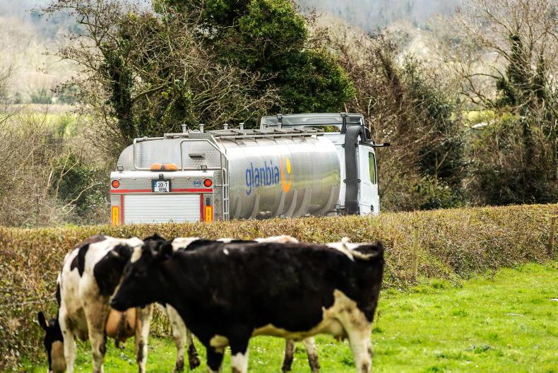 Glanbia remains committed to Belview as fourth An Taisce appeal looms - Vimarsana News