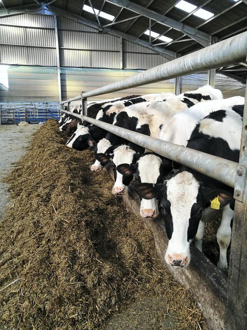 10p milk gap in Scotland     

