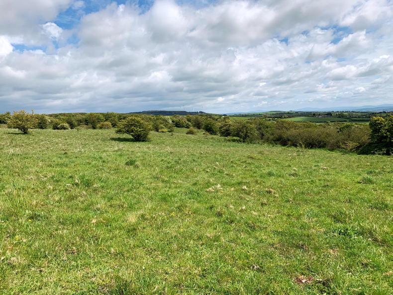 Hill farm drawing big SAC payments for sale