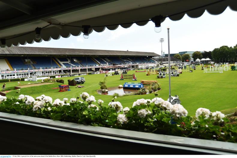 NEWS: horses make welcome return to RDS 