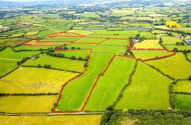 Kilkenny farm for sale while leased out Free