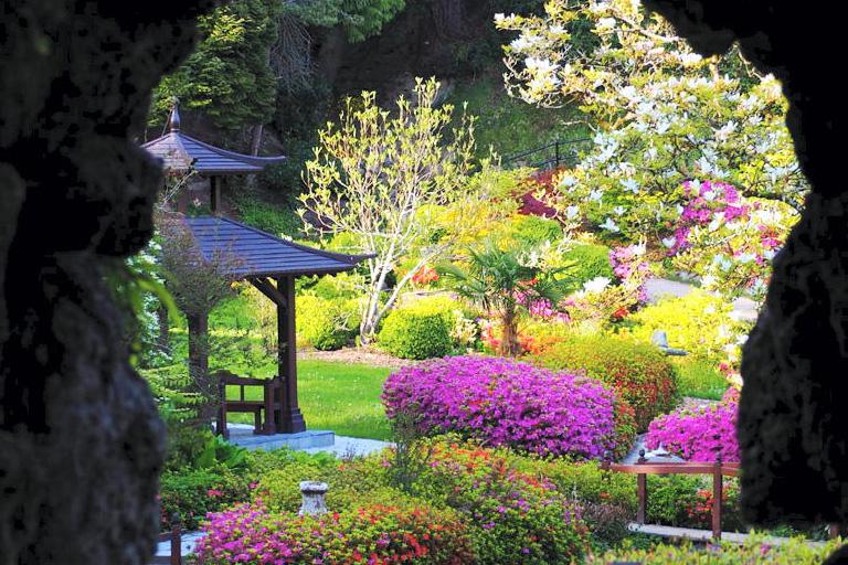 Poetry in bloom at Powerscourt