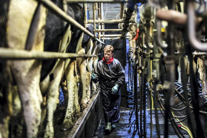 Agri jobs: dairy farm manager in Cork and beef farm manager in Meath