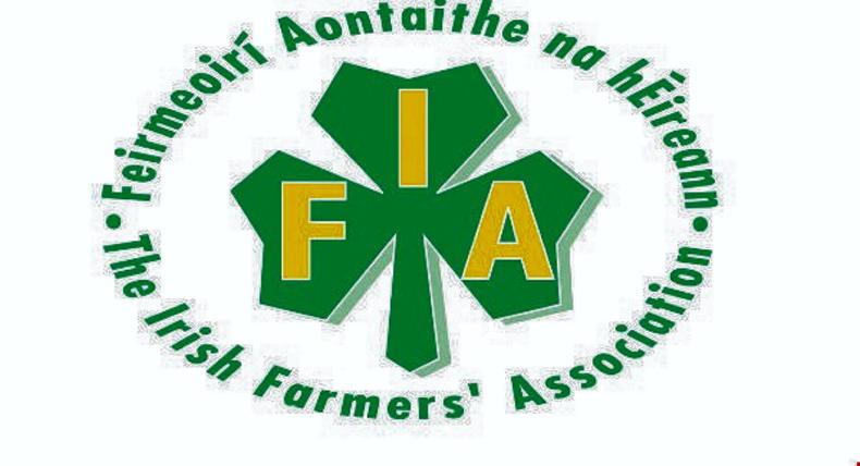 IFA seeks nominations top jobs