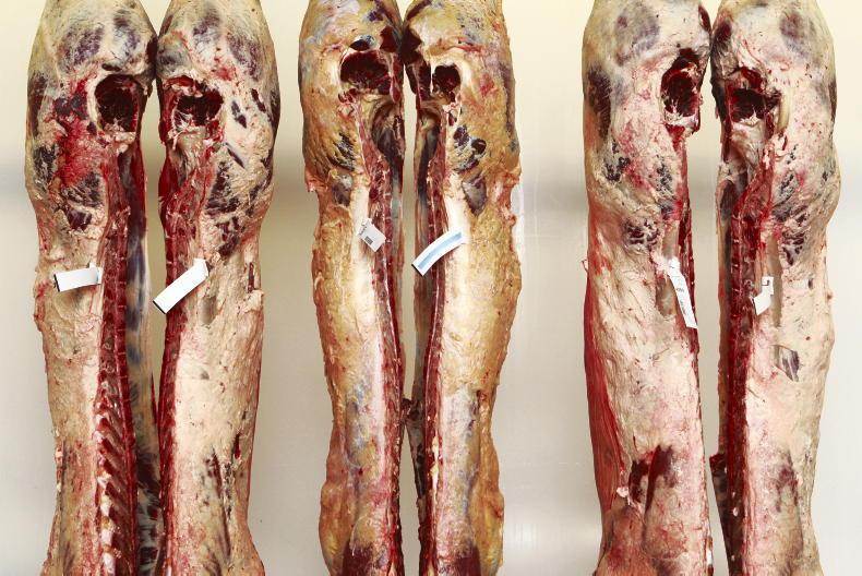 Beef price update: trade steady with more bite for heifers - Irish Farmers Journal