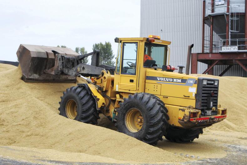 Malting barley price settled this week - Vimarsana News