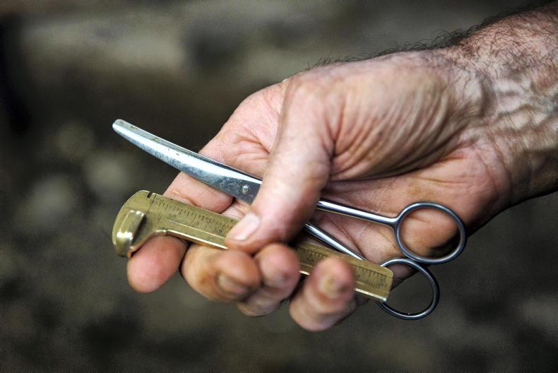 TB compensation available through agfood.ie