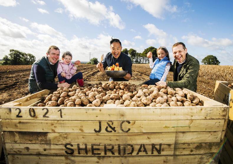 Get cooking for National Potato Day - Vimarsana News