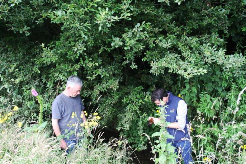 Water quality interim report highlights nutrient losses - Vimarsana News