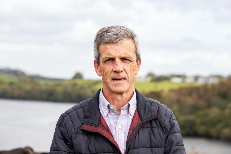 Agri consultants seek collaboration with new Teagasc director - Vimarsana News
