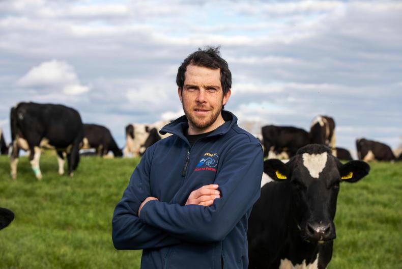 Mo(o)ving towards better mental wellbeing in rural Ireland - Vimarsana News