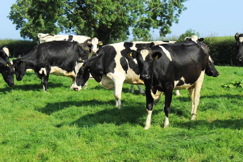 Lakeland increases September milk price - Vimarsana News