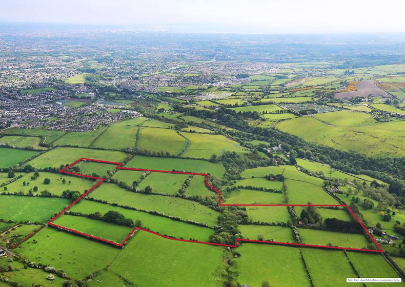 Dublin farm sells before auction at well over guide - Vimarsana News
