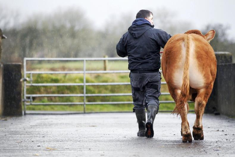 ‘Farmers need to get hot and sweaty to prevent cardiovascular disease’