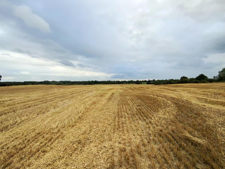 44ac tillage field in Co Meath for auction - Vimarsana News
