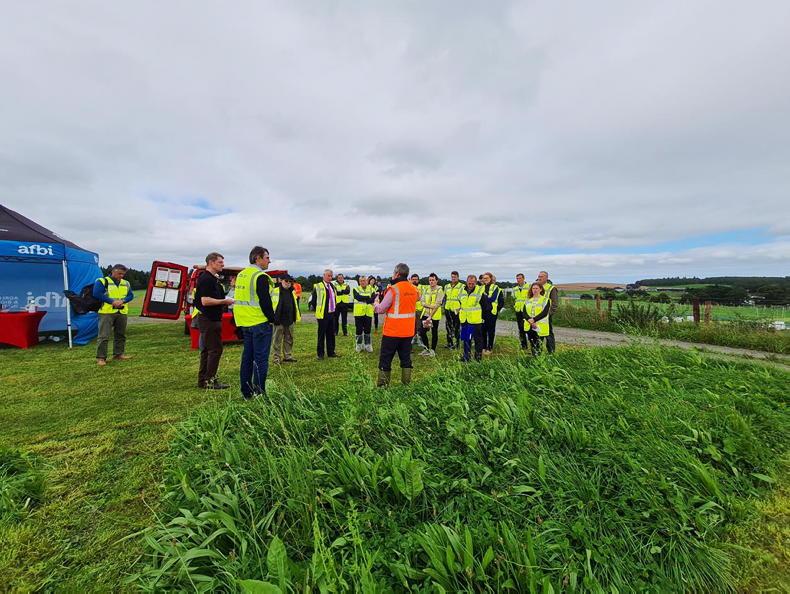 Northern Ireland diary of events - Vimarsana News