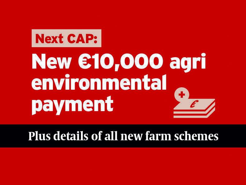 €10,000 payment in new environment scheme